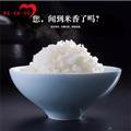 精选稻花香大米(5kg/份）康乐县麦之魂扶贫车间