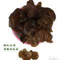 黑木耳康县椴木青冈木黑木耳（礼盒200克装）