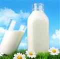 牛奶200ML*12盒/箱