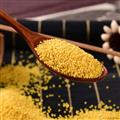 农家自种黄小米500g/袋