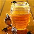 土蜂蜜500g罐装