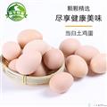 甘肃省康乐县  当归鸡蛋  30枚装