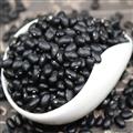 康乐县精选黑豆精品罐装430g/罐（包邮）