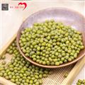 康乐县精选绿豆（袋装500g）