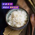 卓尼特产青藏燕麦米500g/罐装