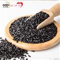 黑香米（500克袋装）康乐县麦之魂扶贫车间