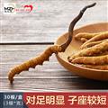 冬虫夏草特级（10g*盒）30根装