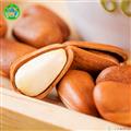 康乐县手剥开口松子500克/袋