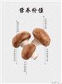 康县香菇   500g/盒