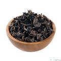 康乐县精品黑木耳500g（包邮）