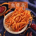 卓尼县-高原虫草花150g/袋