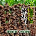 康县高山椴木黑木耳200克/袋