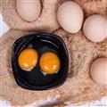 康珍玉食  康乐县当地散养土鸡蛋40枚  现捡现发