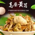 高原黄菇250g/盒（干货）