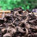 康县青冈树椴木黑木耳特级500g散装