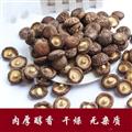 香菇干货食用陇南特产康县阳坝特级剪脚无硫袋装精选500g