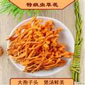 虫草花干货特级精选无硫正品北蛹虫草大孢子头煲汤食材