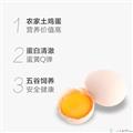 康珍玉食  康乐县当地散养土鸡蛋40枚  现捡现发