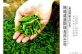 甘肃康县茶叶茶农直供珍品龙井43号