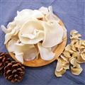 卓尼县山珍白木耳
