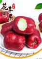 花牛苹果  18个/箱/8-10斤