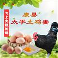 康县梅园太平山鸡 土鸡蛋