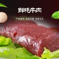 新鲜牦牛肉