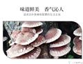 康县香菇   500g/盒