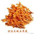 虫草花干货特级精选无硫正品北蛹虫草大孢子头煲汤食材
