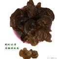 椴木黑木耳康县春木耳（500克/袋））