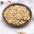 康乐县生燕麦片（袋装500g）
