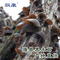 康县黑木耳（一级袋装）100g*50袋