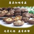 香菇干货食用陇南特产康县阳坝特级剪脚无硫袋装精选500g