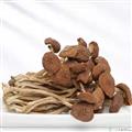 野生茶树菇250g（干货）