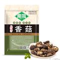 康县椴木金钱菇250克/袋