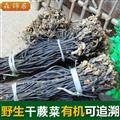野生蕨菜250克/袋