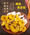 康县高山黄金菇黄丝菌250克/袋