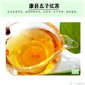康县五子红茶500g包邮