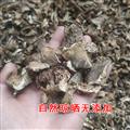 卓尼县-野生松树菌干货500g/袋