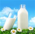 牛奶200ML*12盒/箱