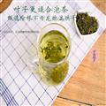 蒲公英茶80g/罐