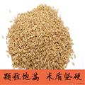 卓尼县高原青稞米500g/袋