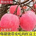 精选红富士苹果8-9斤装