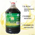 卓尼县洮水流珠菜籽油20L/桶（厂家直销）
