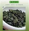 新茶甘肃陇南康县阳坝茶叶绿茶春茶五子特级毛尖250g包邮