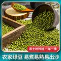 农家自种绿豆500g