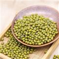 康乐县精品绿豆500g/包（包邮）