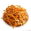 虫草花干货特级精选无硫正品北蛹虫草大孢子头煲汤食材