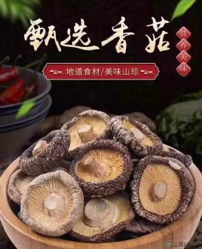 香菇(精品)