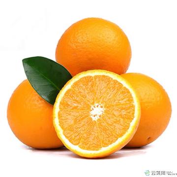 赣南脐橙